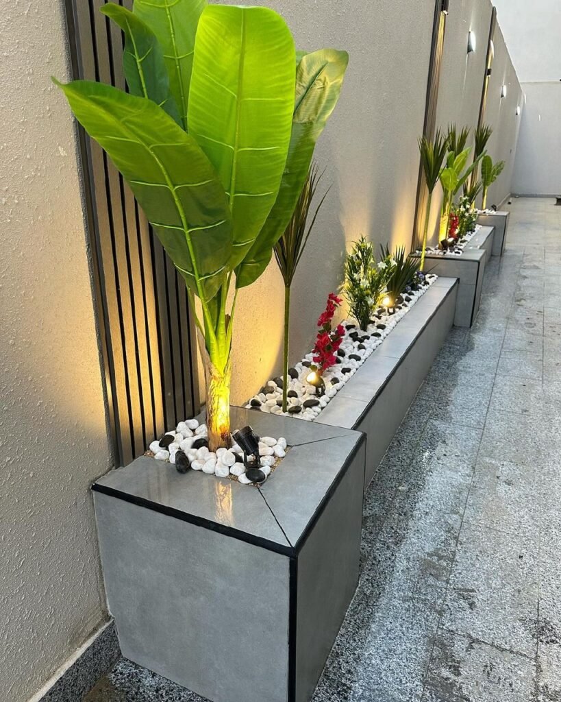 زراعة الأشجار في الرياض